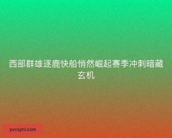 西部群雄逐鹿快船悄然崛起赛季冲刺暗藏玄机