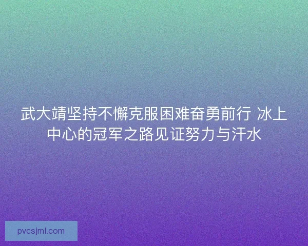 武大靖坚持不懈克服困难奋勇前行 冰上中心的冠军之路见证努力与汗水