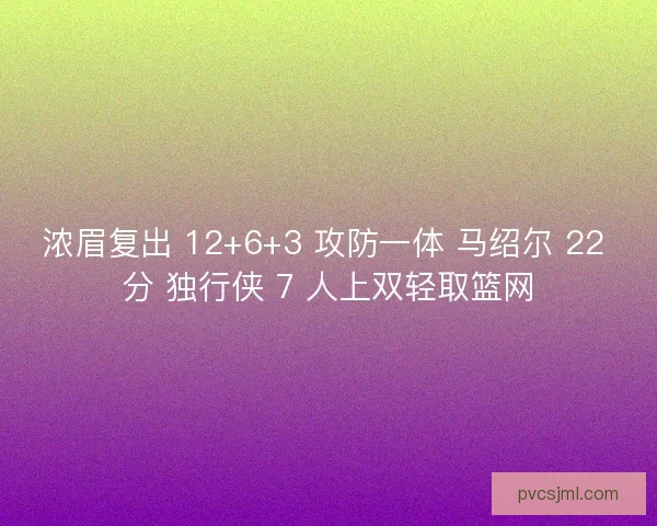 浓眉复出 12+6+3 攻防一体 马绍尔 22 分 独行侠 7 人上双轻取篮网