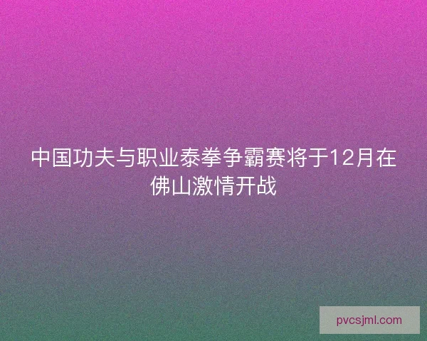 中国功夫与职业泰拳争霸赛将于12月在佛山激情开战
